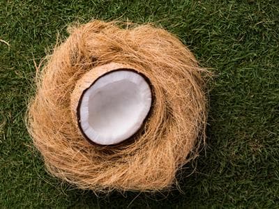 Natural Coir Twine (Hop Yarn)