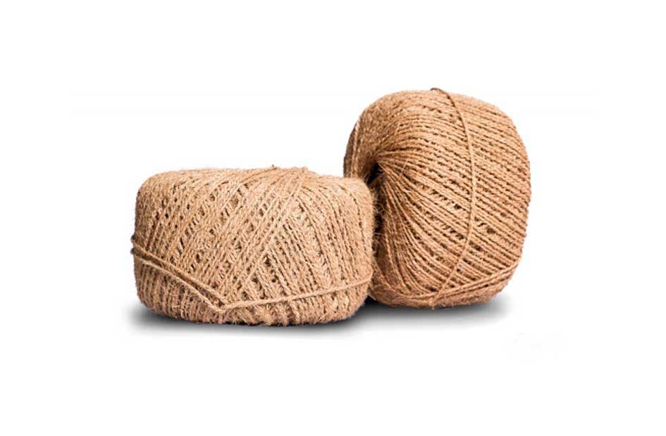 Bristle Fiber Natural